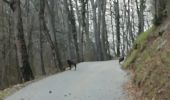 Randonnée Marche Cognin-les-Gorges - Les gorges du Nan - Photo 17