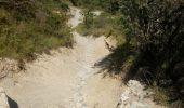 Tocht Stappen Mirabel-et-Blacons - Col de Pourcheton - Photo 9