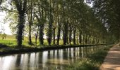 Percorso Bici ibrida Damazan - Canal de la Garonne  - Photo 3