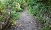 Trail Walking Plougrescant - Le gouffre, la pointe du château à Plougrescant - Photo 18