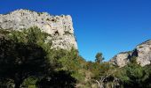 Tocht Stappen Saint-Guilhem-le-Désert - St Guilhem - vers la Bissone, retour par le Verdus - Photo 8