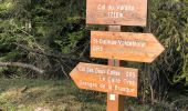 Trail Walking Valdeblore - La Colmiane - Le Caire Gros - Photo 6