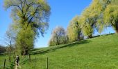 Tocht Stappen Chaumont-Gistoux - #210427 - Longueville, Hèze et Petit Hacquedeau - Photo 12