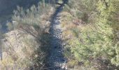 Trail Walking Vesc - Hubac de Ruy - Photo 3