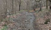 Tour Wandern Chaudfontaine - Randonnée autour de Chaudfontaine.  - Photo 12