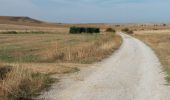 Tour Wandern Cervatos de la Cueza - San Nicolas  - Photo 2