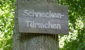 Percorso A piedi Kirchheimbolanden - Kirchheim-Bolanden Rundwanderweg Nr. 5 - Photo 10