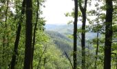 Tocht Stappen Bouillon - La Randonnée des échelles - Rochehaut - Photo 3