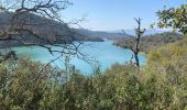 Excursión Bici de montaña Les Adrets-de-l'Estérel - Esterel 2 : Fait 2022 lac St Cassien depuis Les Adrets retour par lac Lavellan - Photo 5