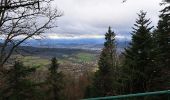 Tour Wandern Sankt Didel - col de crenee rocher du corbeau camps de la bure - Photo 4