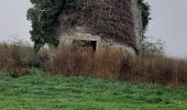 Trail Walking Mettet - Mettet 141122 - Photo 12