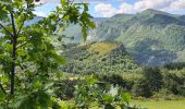 Tocht Stappen La Motte-Chalancon - La Motte Chalancon - Plateau de la Chau - Photo 19