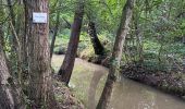 Trail Walking Court-Saint-Étienne - Tangisart - Photo 15