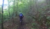 Percorso Mountainbike Genappe - VTT de genappes - Photo 1