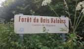 Trail Walking Aix-Villemaur-Pâlis - Bois des Brosses - Photo 3