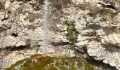 Trail  La Sône - La Sône le sentier du martin pêcheur  - Photo 19