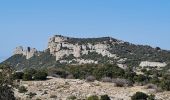 Trail Walking Gémenos - St pons gde baume glacière - Photo 16