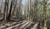Trail On foot Braine-le-Comte - 2021-04-11 ST Hennuyères & Grd Bois 001 - Photo 5