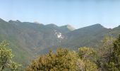 Excursión Senderismo Saou - Tour de la Forêt de Saoû - Photo 2