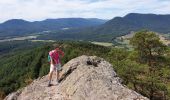 Trail Walking Dambach-la-Ville - Sommets et rochers - Photo 11