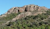 Tour Wandern Fréjus - Mont Aigre et Bonnet de Capelan **ESTEREL** - Photo 6