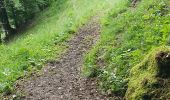 Trail Walking Cauterets - Hostellerie de la reine Hortense et retour par Cancura - Photo 1