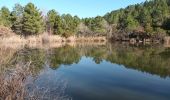 Randonnée Marche Roquebrune-sur-Argens - Les 25 ponts-Roquebrune sur Argens-28-01-22 - Photo 5