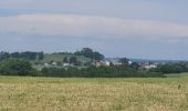 Tour Wandern Florenville - rando chameleux 19-05-2022 - Photo 6