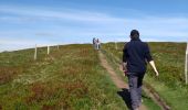 Trail Walking La Bresse - 31-05-20 Rainkopf  - Photo 3