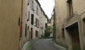 Trail On foot Mirecourt - Sentier des Luthiers et des Dentellières - Photo 9