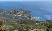 Trail Walking Saint-Raphaël - Cap Roux et grues depuis Belle-Barbe - Photo 17