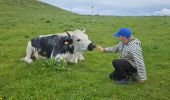 Trail Walking Xonrupt-Longemer - 2024 RA Vosges J4 autour du Kastelberg - Photo 15