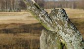 Tocht Te voet Onbekend - Dünenweg [Boberger Niederung] - Photo 2