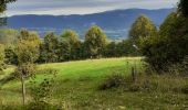 Tour Wandern Valromey-sur-Séran - réservoir  - Photo 2