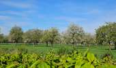 Randonnée Marche Eijsden-Margraten - Mesch 🌸🌼🌺 - Photo 1
