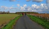 Trail Walking Noizay - Noizay - Carcou Vernou via PRs Chançay - 24.7km 290m 5h20 (30mn) - 2022 11 19 - Photo 6