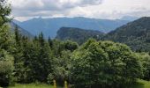 Randonnée Marche Samoëns - Les Allamands lac des Verdets - Photo 12