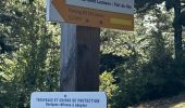 Trail Walking La Bastide - Le Lachens 2024 - Photo 8