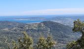 Tour Wandern La Garde-Freinet - La garde freinet - Notre Dame de Miremer - Photo 11