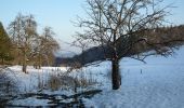 Tocht Te voet Onbekend - Wanderweg Königstuhl 12 - Photo 7