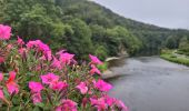 Tocht Stappen Vresse-sur-Semois - rando laforêt 23-08-2024 - Photo 8