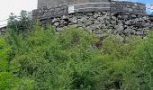 Trail Walking La Tour-d'Auvergne - Natzy - Photo 10