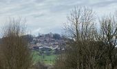 Tour Wandern Saint-Thiébault - Bourmont sentier dans les bois  - Photo 2