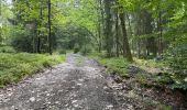 Tour Wandern Theux - Jehanster 25,2 km - Photo 12