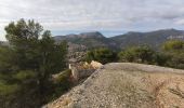 Trail Walking Toulon - reco faron 2 - Photo 7