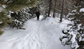 Tour Schneeschuhwandern Font-Romeu-Odeillo-Via - llobens 2021  - Photo 3