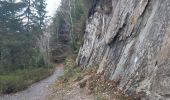 Tour Wandern Malmedy - malmedy . ferme libert .  tro maret . ferme libert . malmedy par les crêtes  - Photo 12