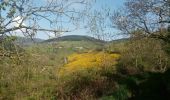 Trail Walking Cherier - rando à Moulin Charier - Photo 20