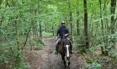 Trail Horseback riding Bastogne - Livarchamps - Surre (LU) 29 août 2021 - Photo 5