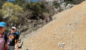 Tour Wandern La Palud-sur-Verdon - Sentier Blanc Martel - Photo 18